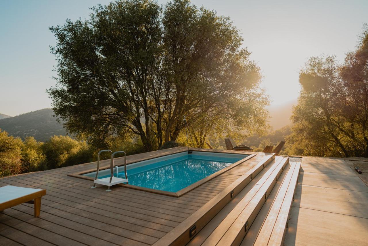 Boho Chic Oasis By Casa Oso With Pool, Spa And Views Ahwahnee Exteriér fotografie